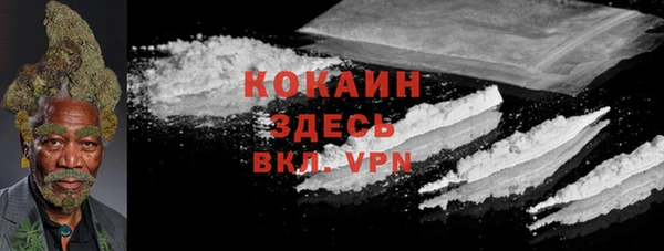 ПСИЛОЦИБИНОВЫЕ ГРИБЫ Алзамай