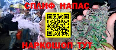 PSILOCYBIN Гудермес