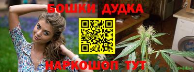 PSILOCYBIN Гудермес